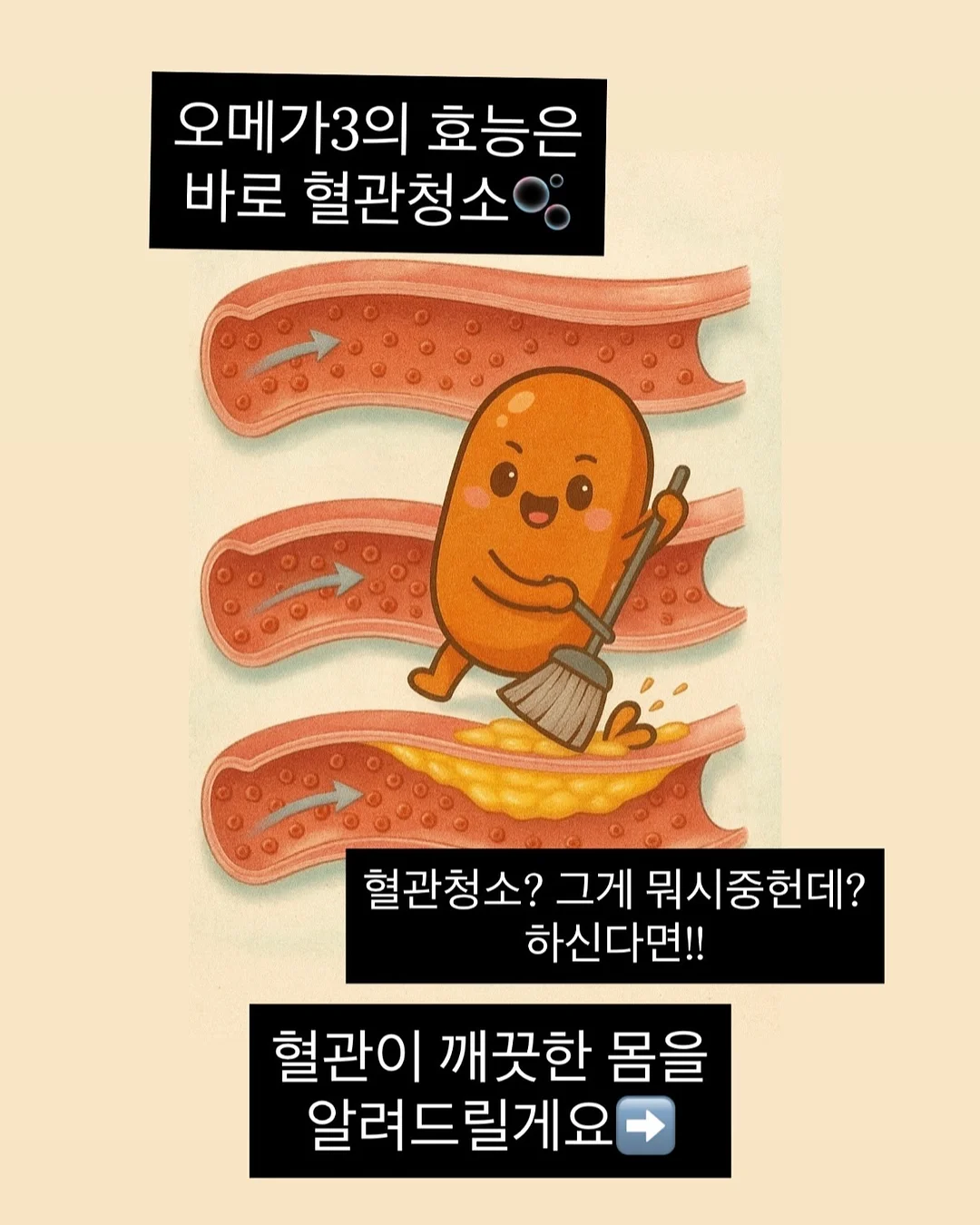 다이소 6공 바인더 및 리필 2