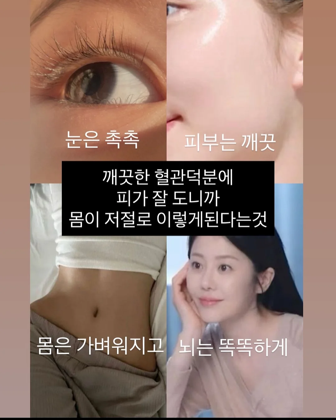 다이소 6공 바인더 및 리필 3