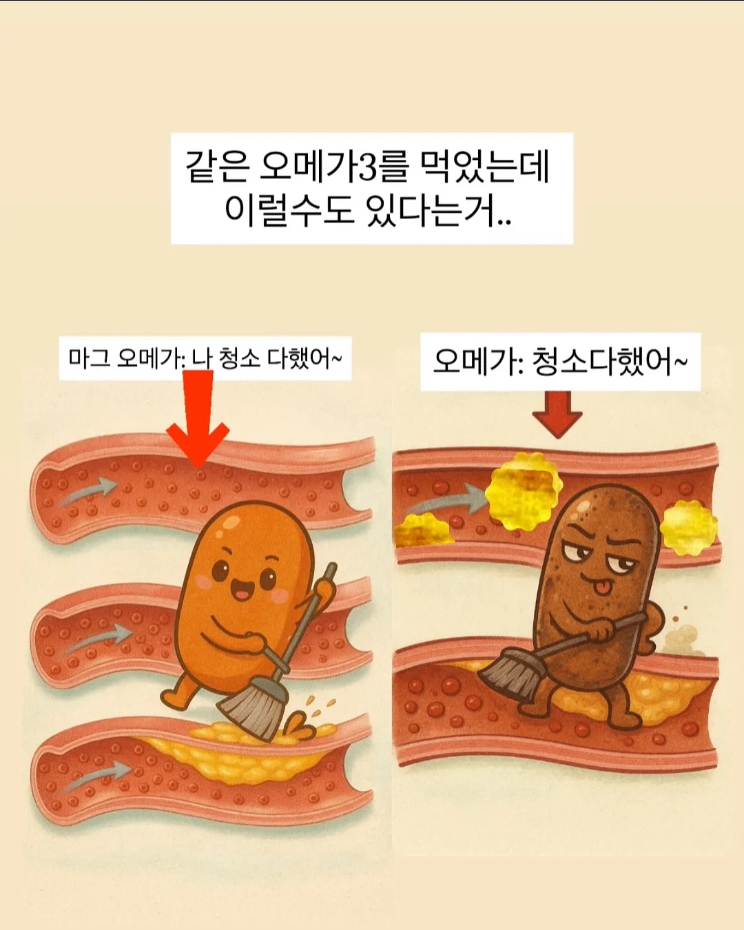 다이소 6공 바인더 및 리필 6