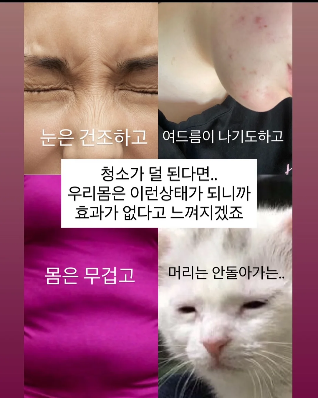 다이소 6공 바인더 및 리필 7