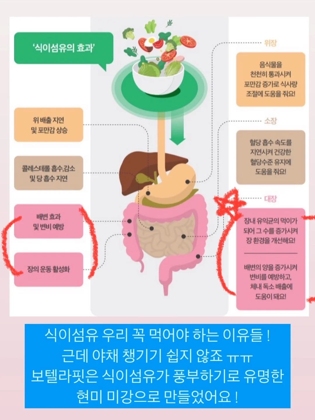 튤립꽃다발 6