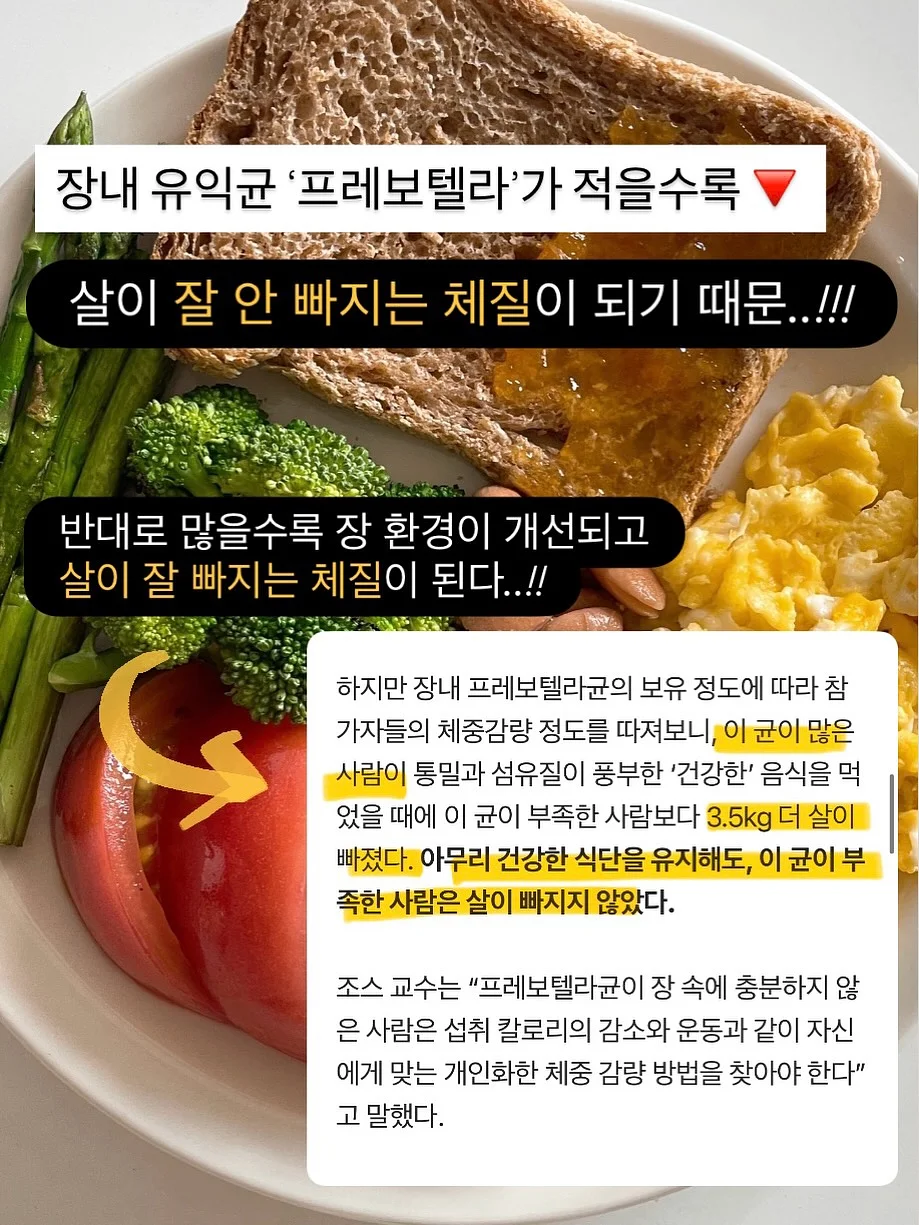 튤립꽃다발 7