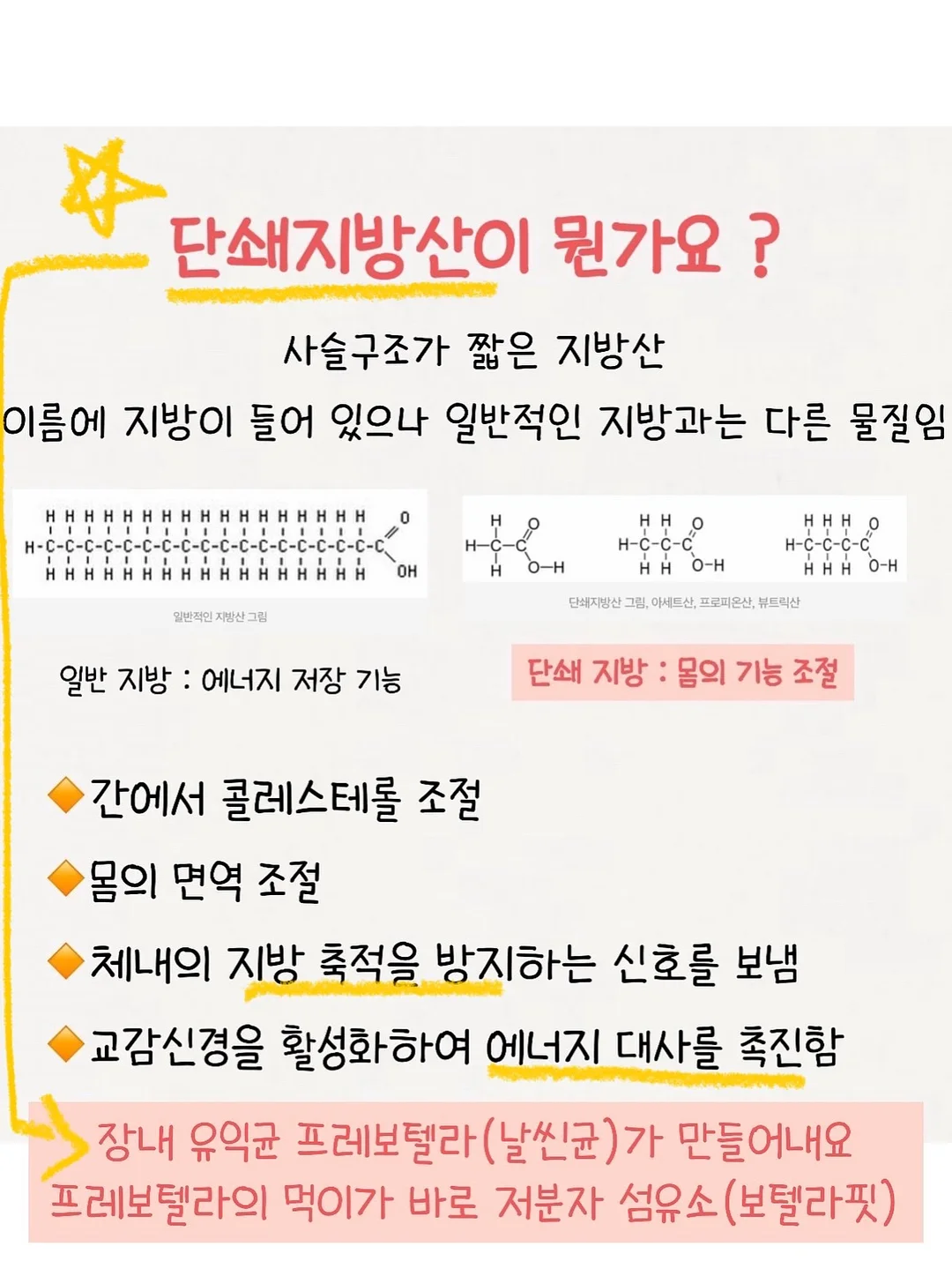 튤립꽃다발 8