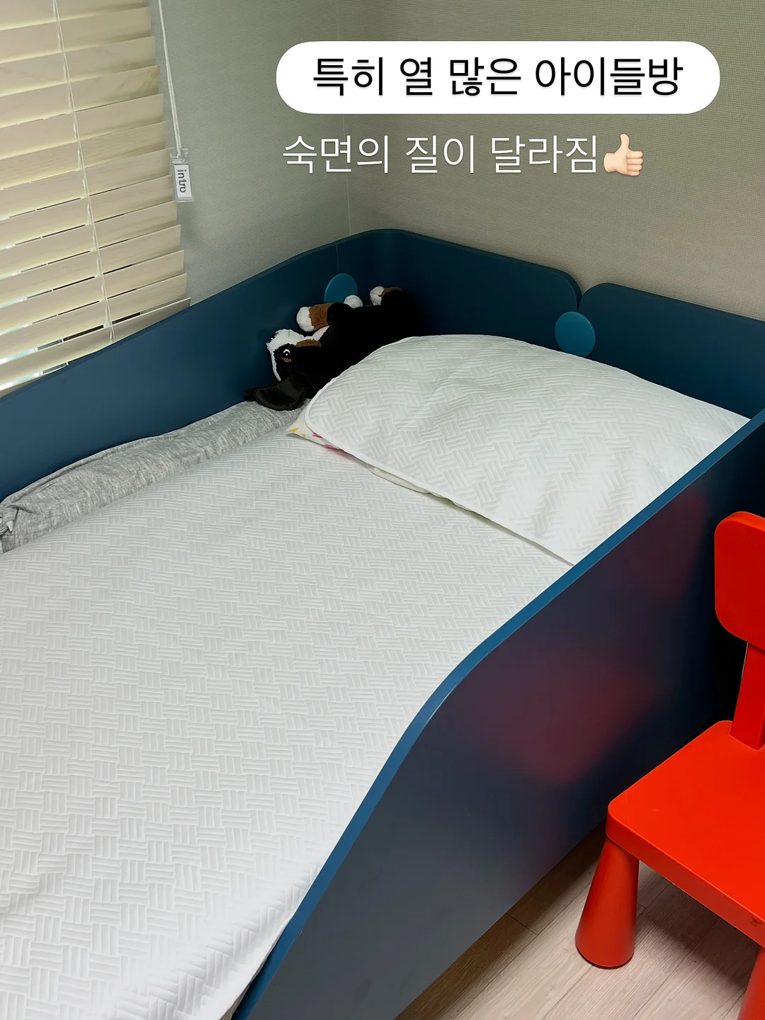 파이토 퍼플베리 스무디 7