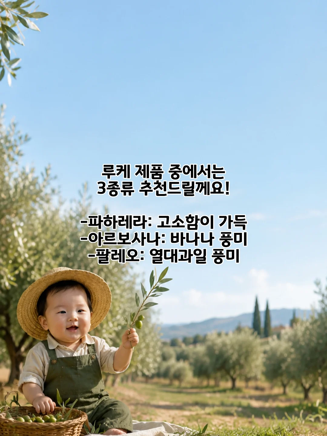 셀럽티 12