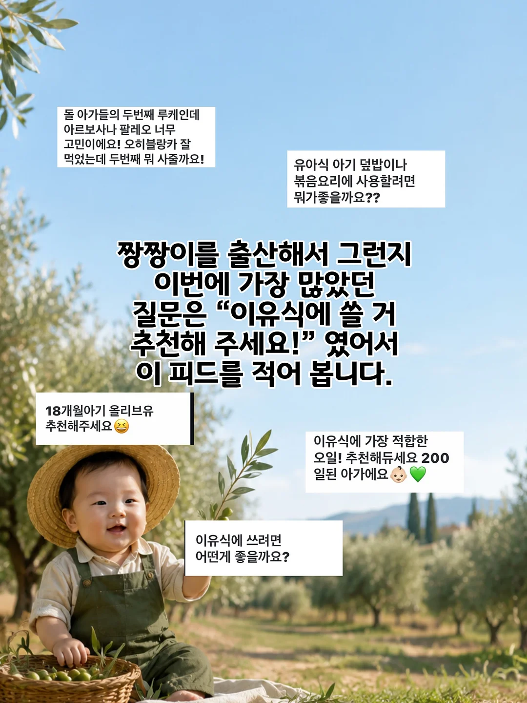 셀럽티 2