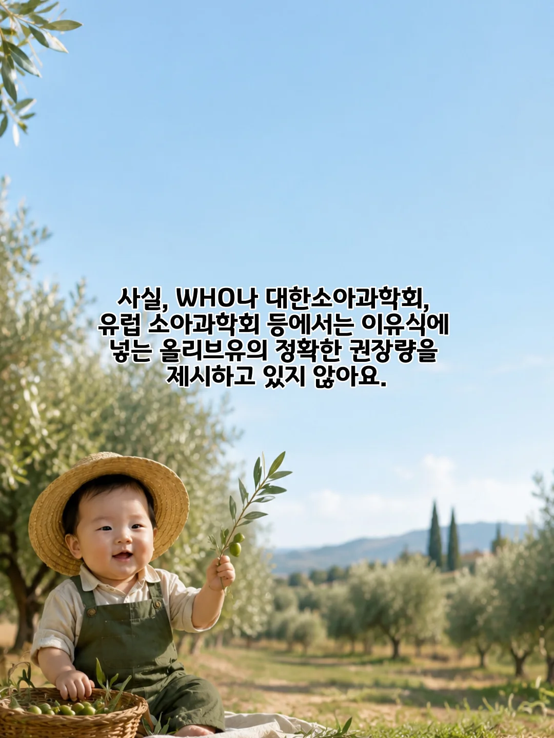 셀럽티 3