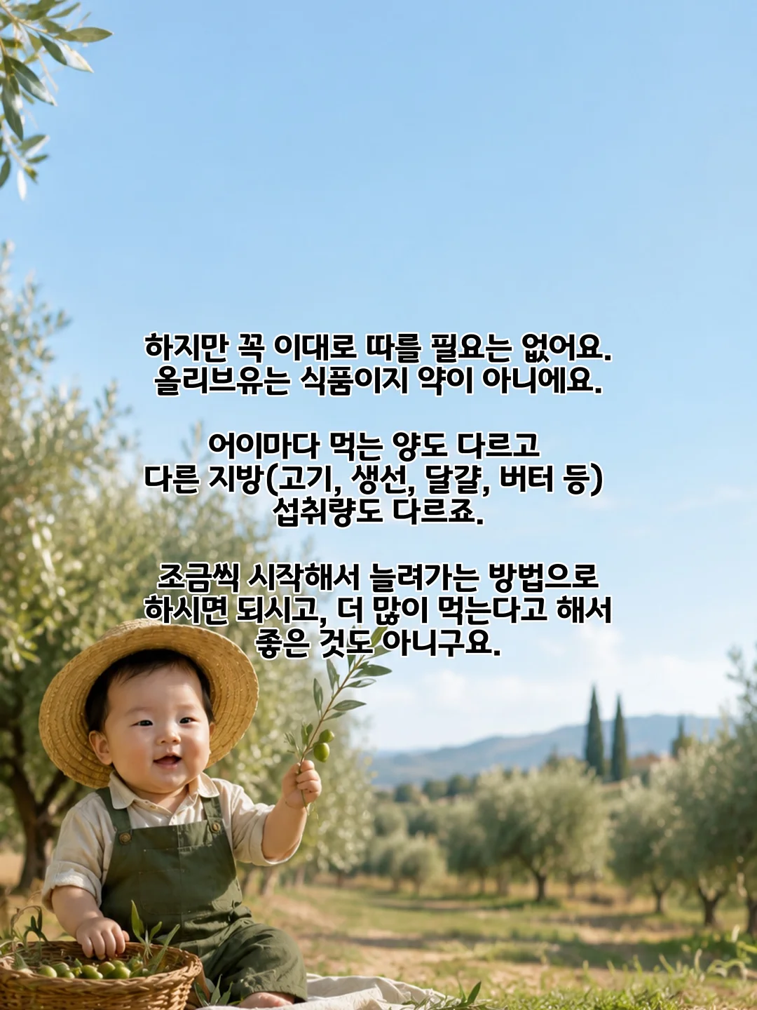 셀럽티 6