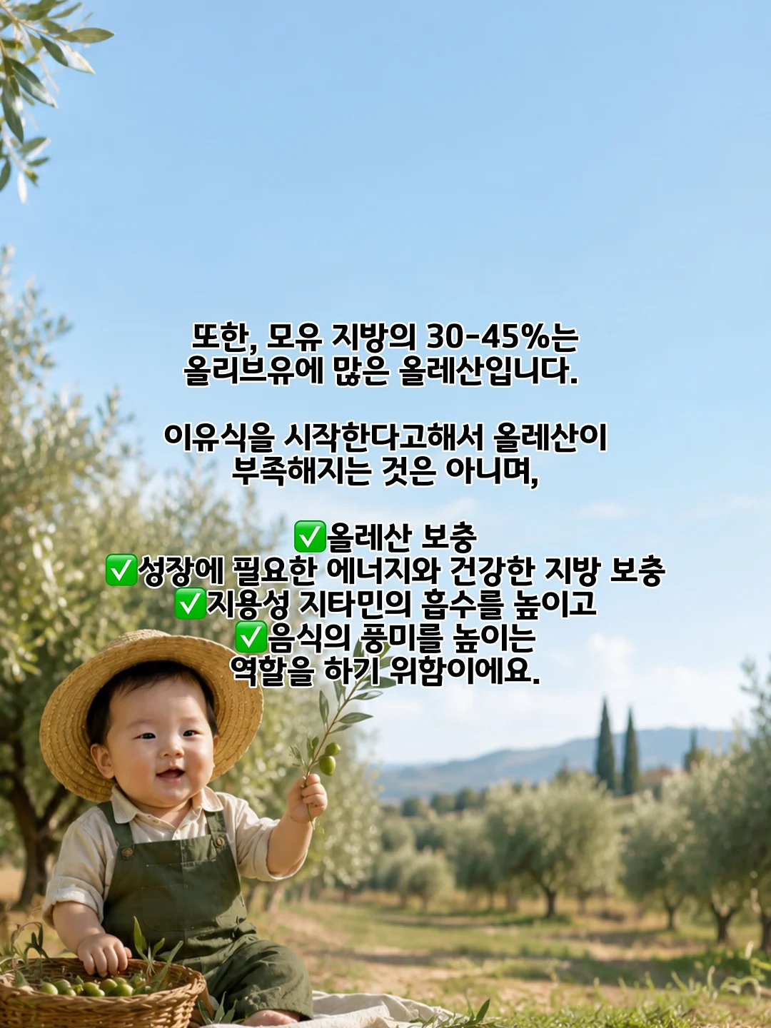 셀럽티 7