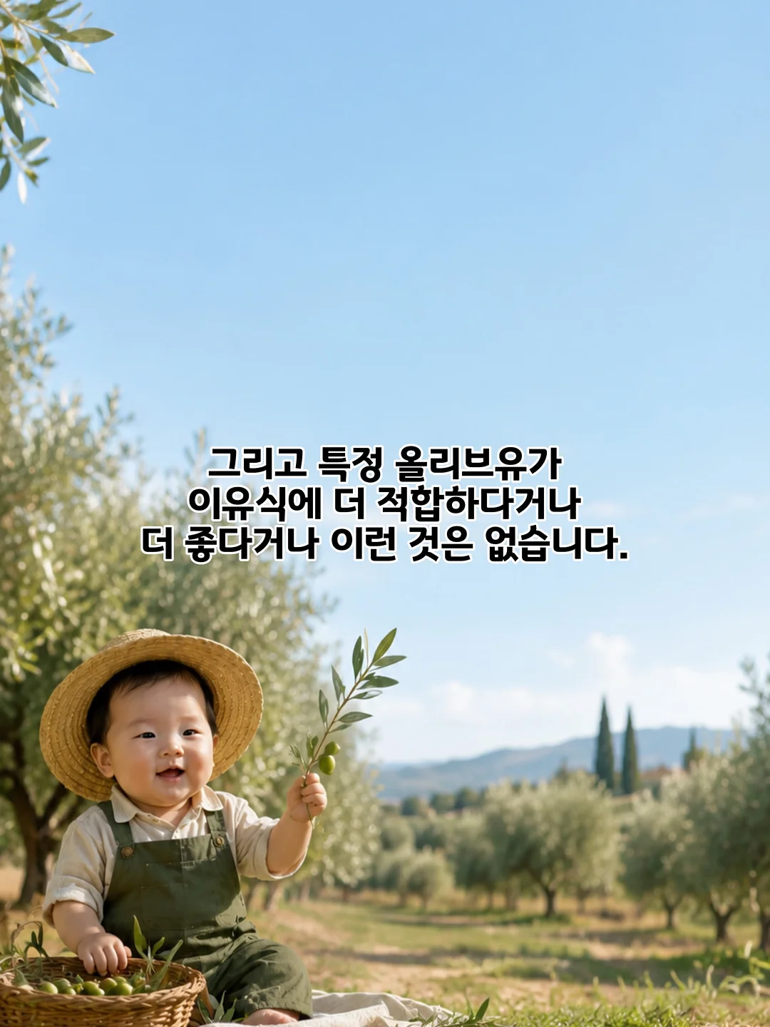 셀럽티 8