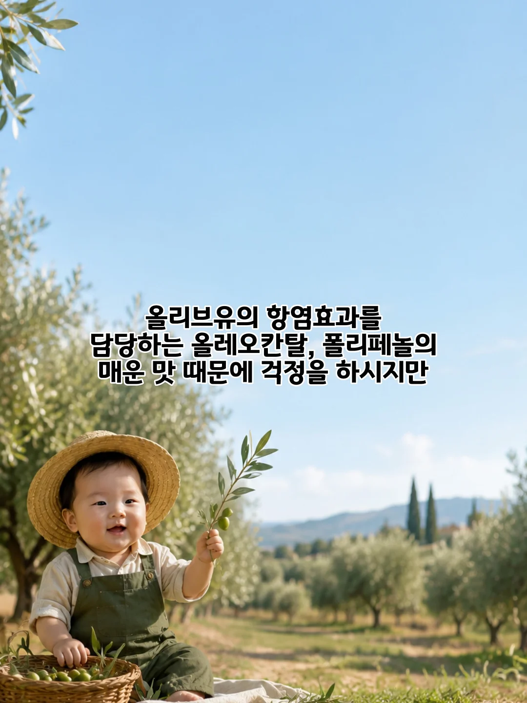 셀럽티 9