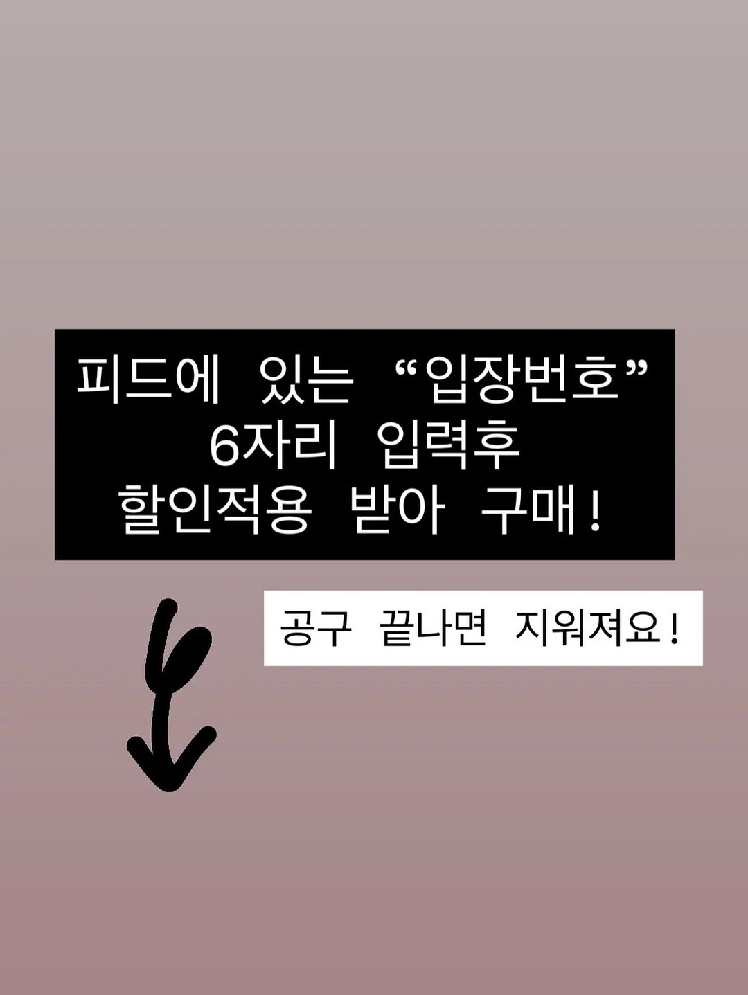 Prevail 의류 2