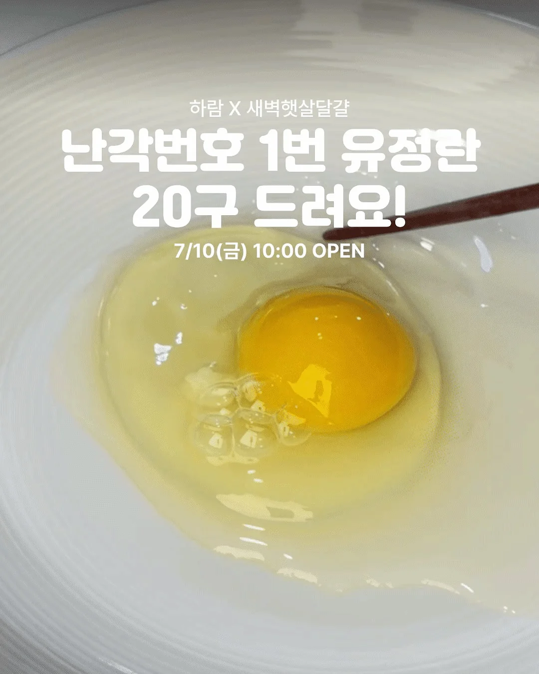 스파톤 철분제 1