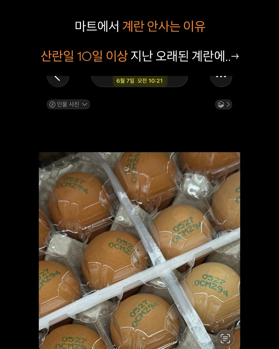 스파톤 철분제 2