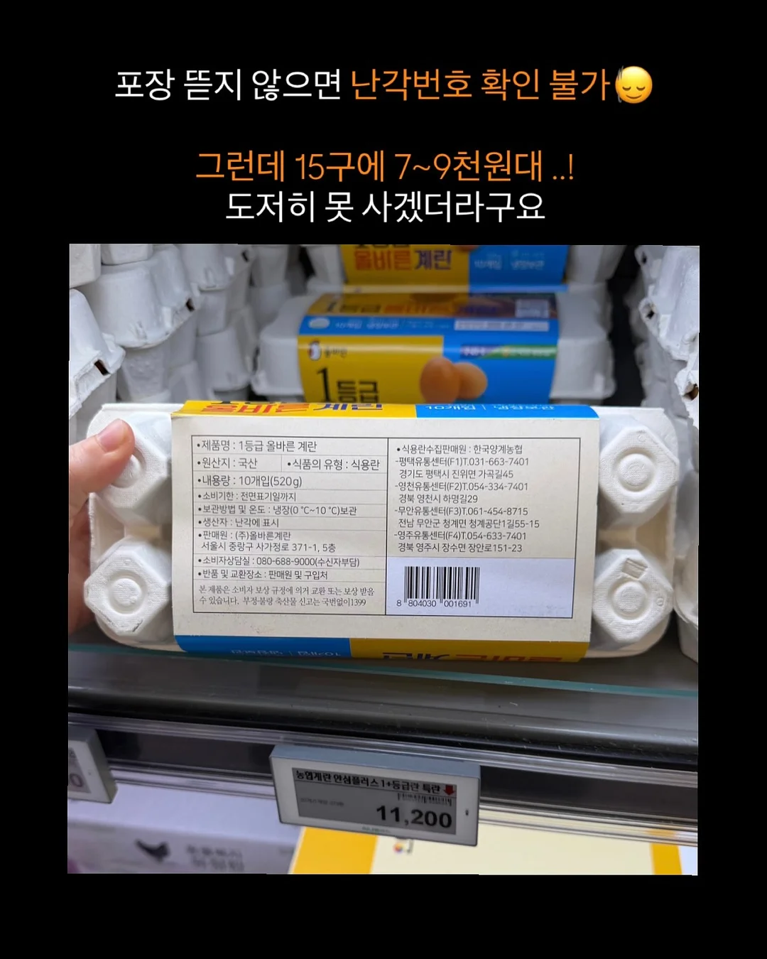 스파톤 철분제 3