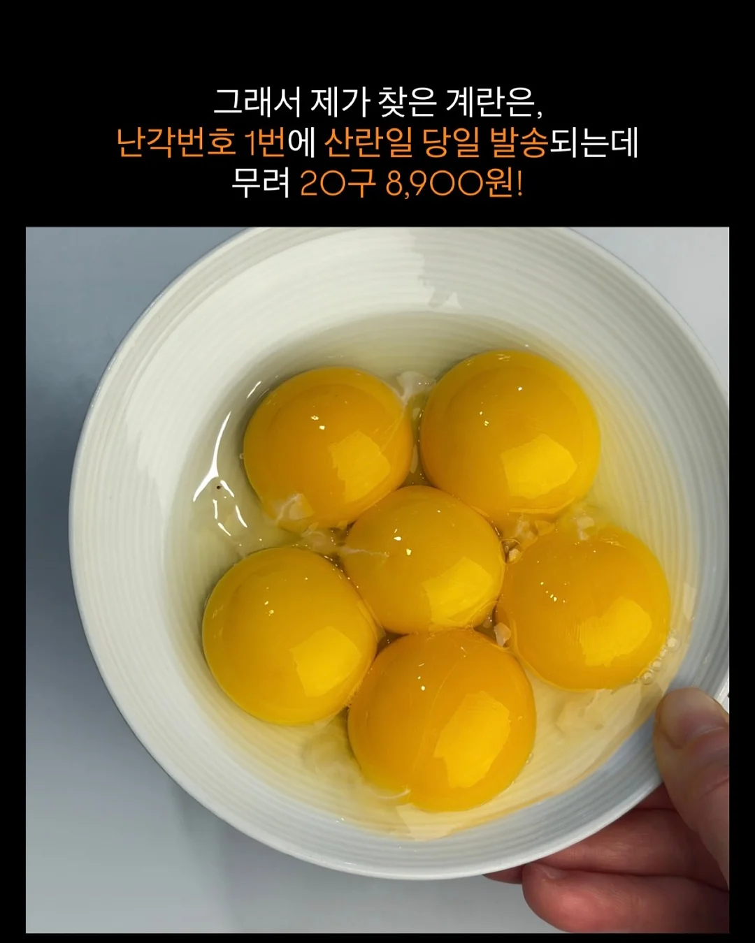 스파톤 철분제 4