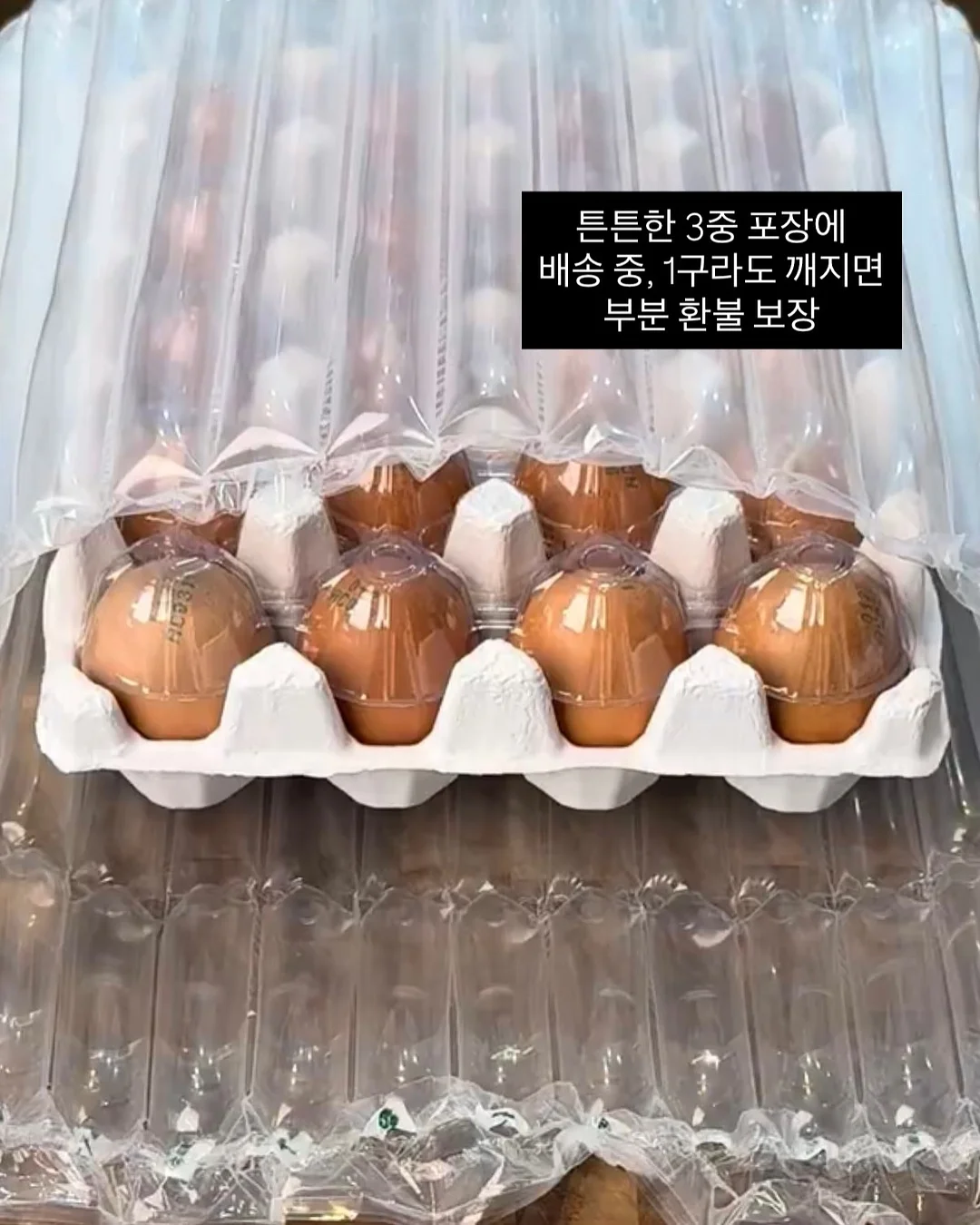 스파톤 철분제 6