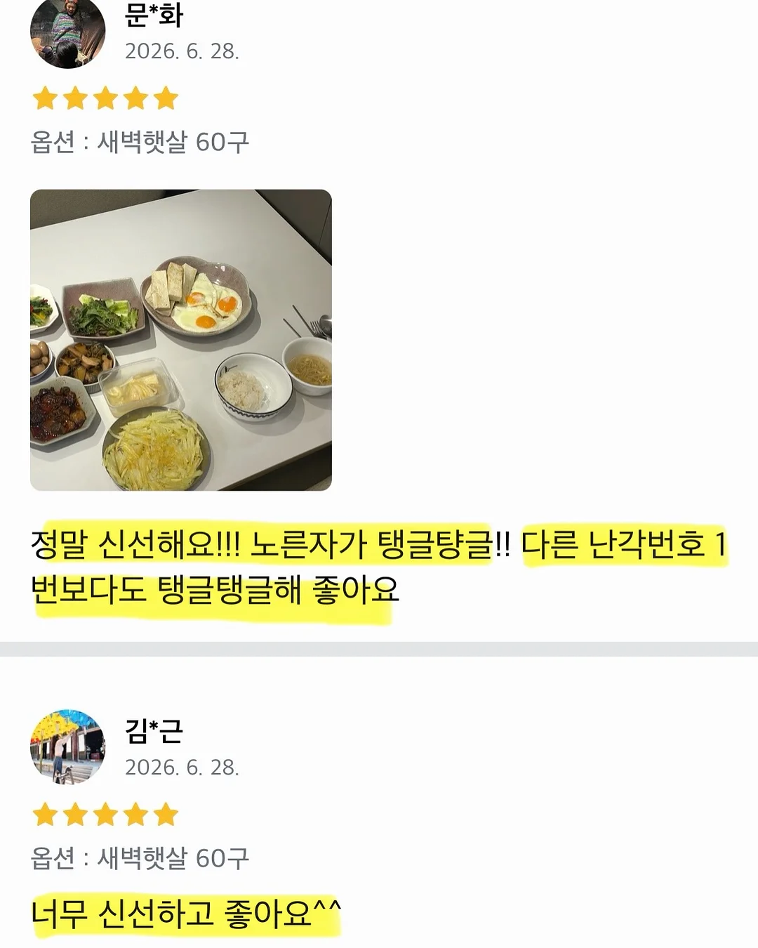 스파톤 철분제 9