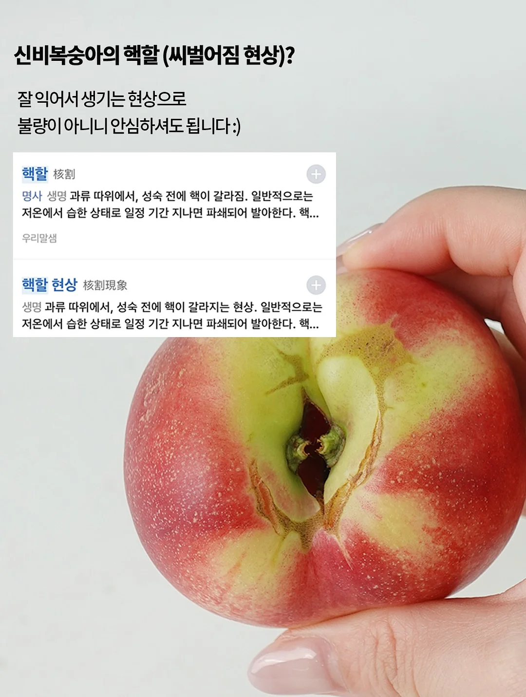 성장영상 제작 11