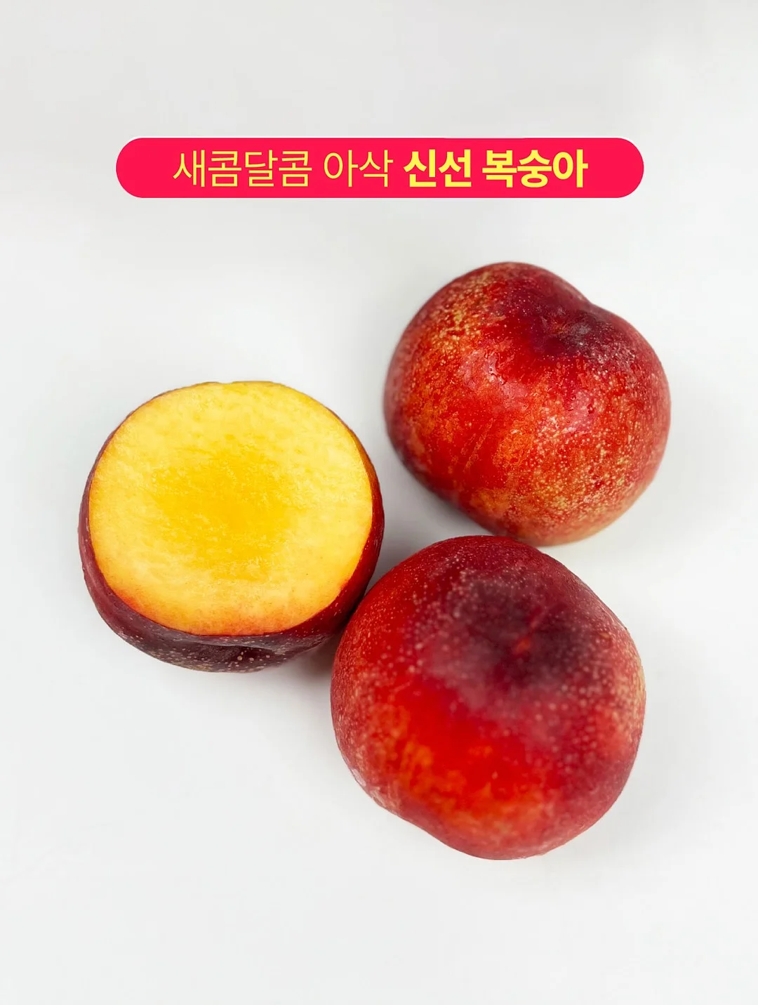 성장영상 제작 13