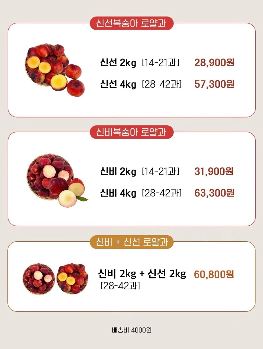 성장영상 제작 6
