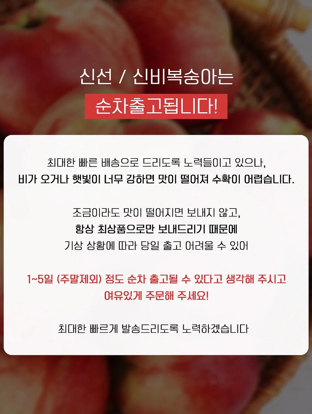 성장영상 제작 7