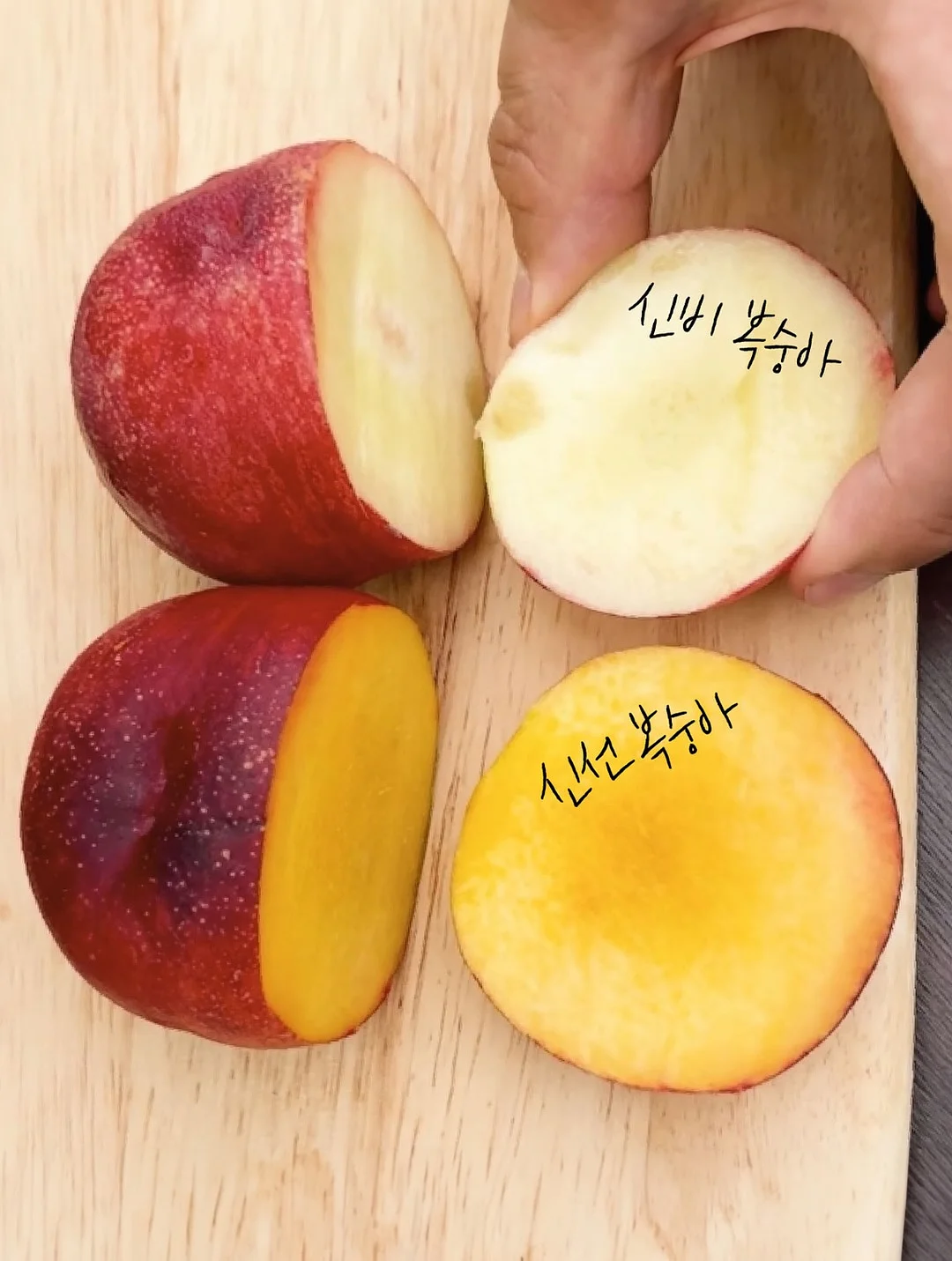 성장영상 제작 9