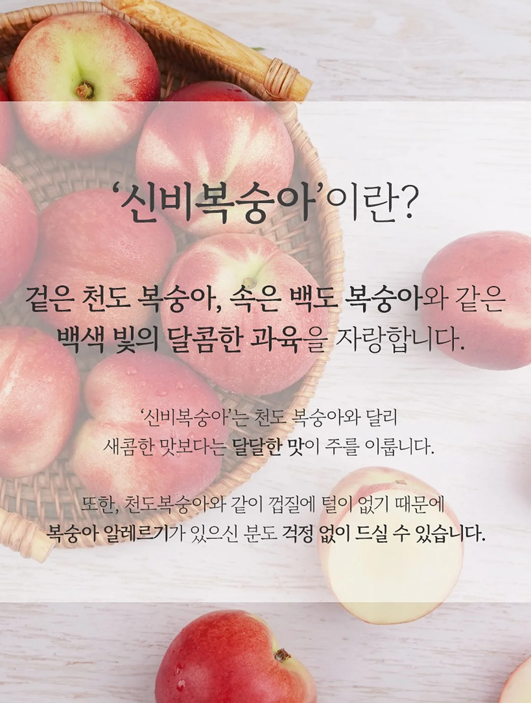 성장영상 제작 10