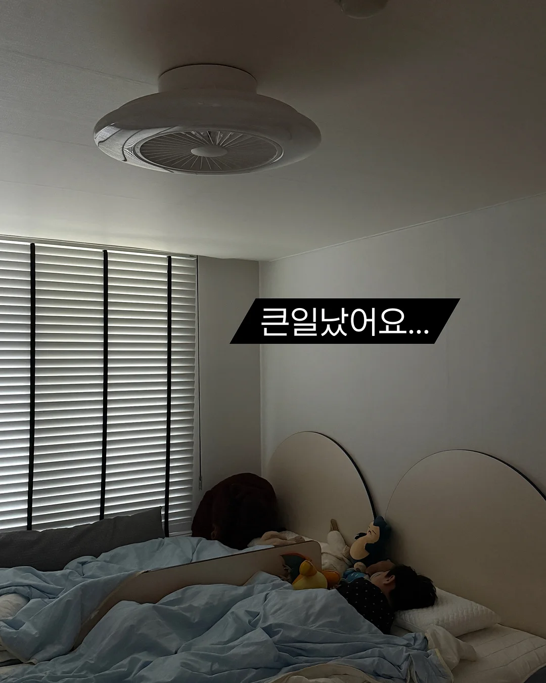 셀린 후드 1