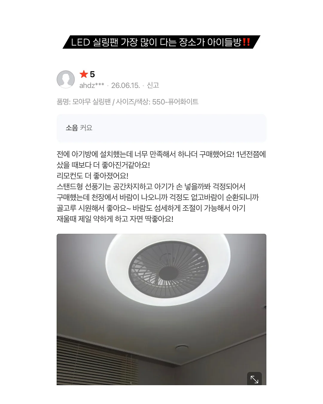 셀린 후드 6
