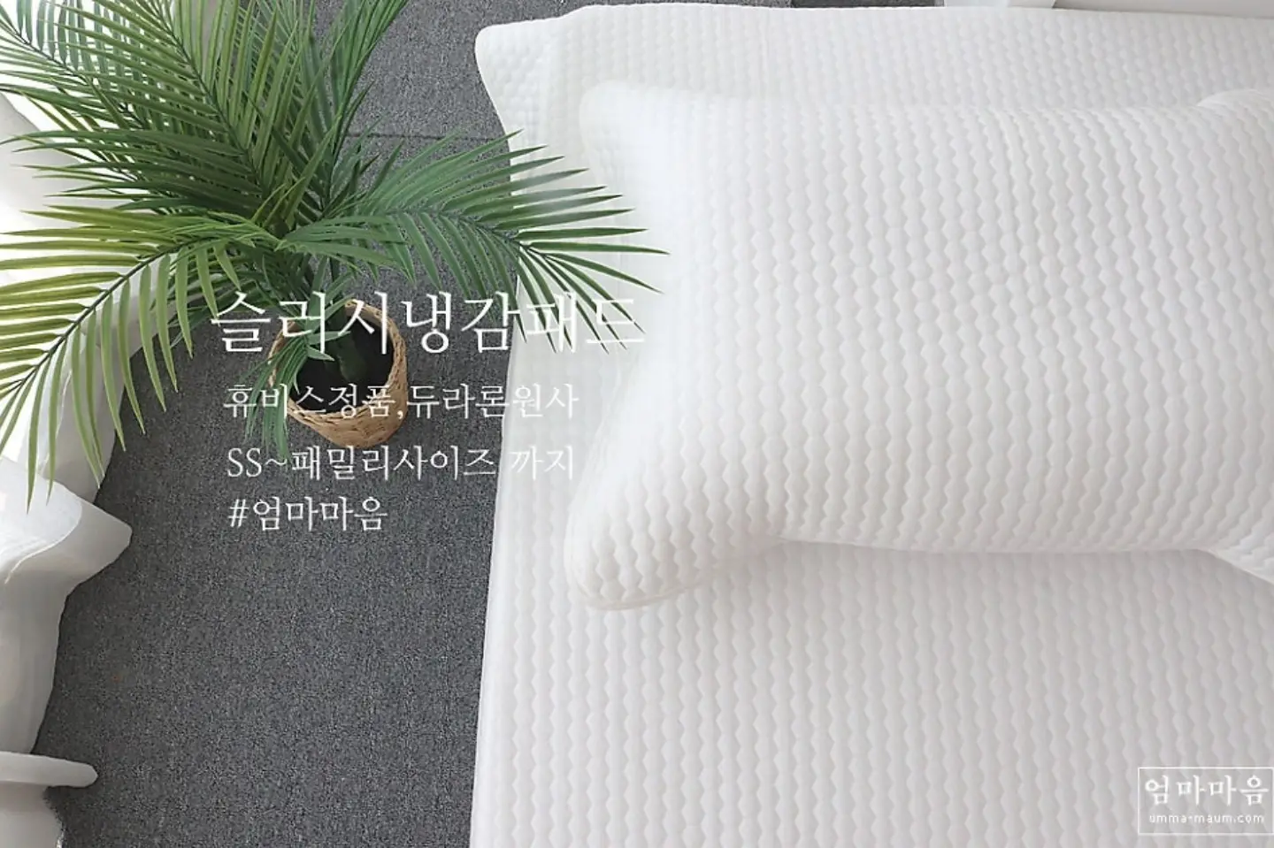 갤럭시 워치8 9