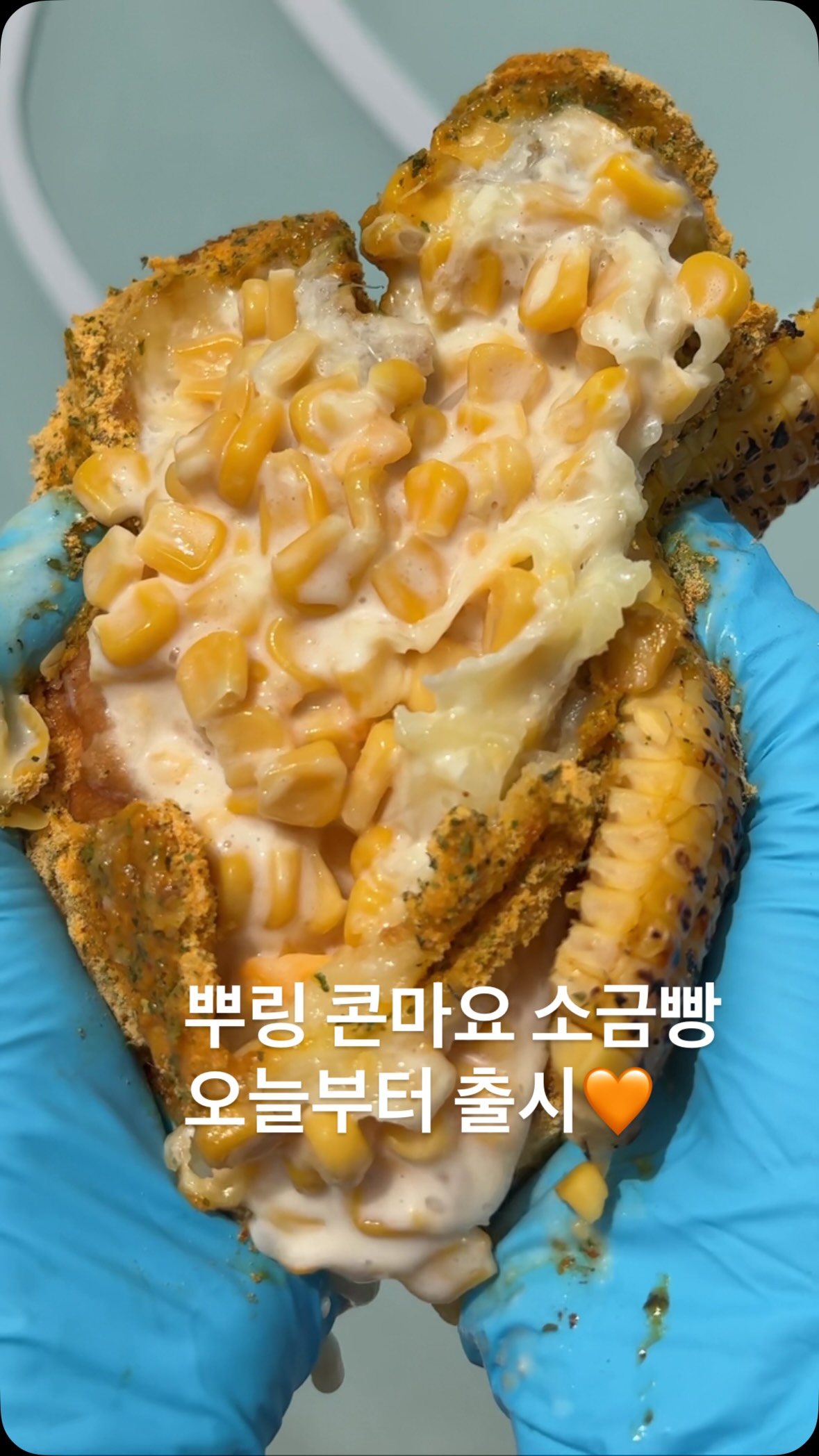 김밥 도시락