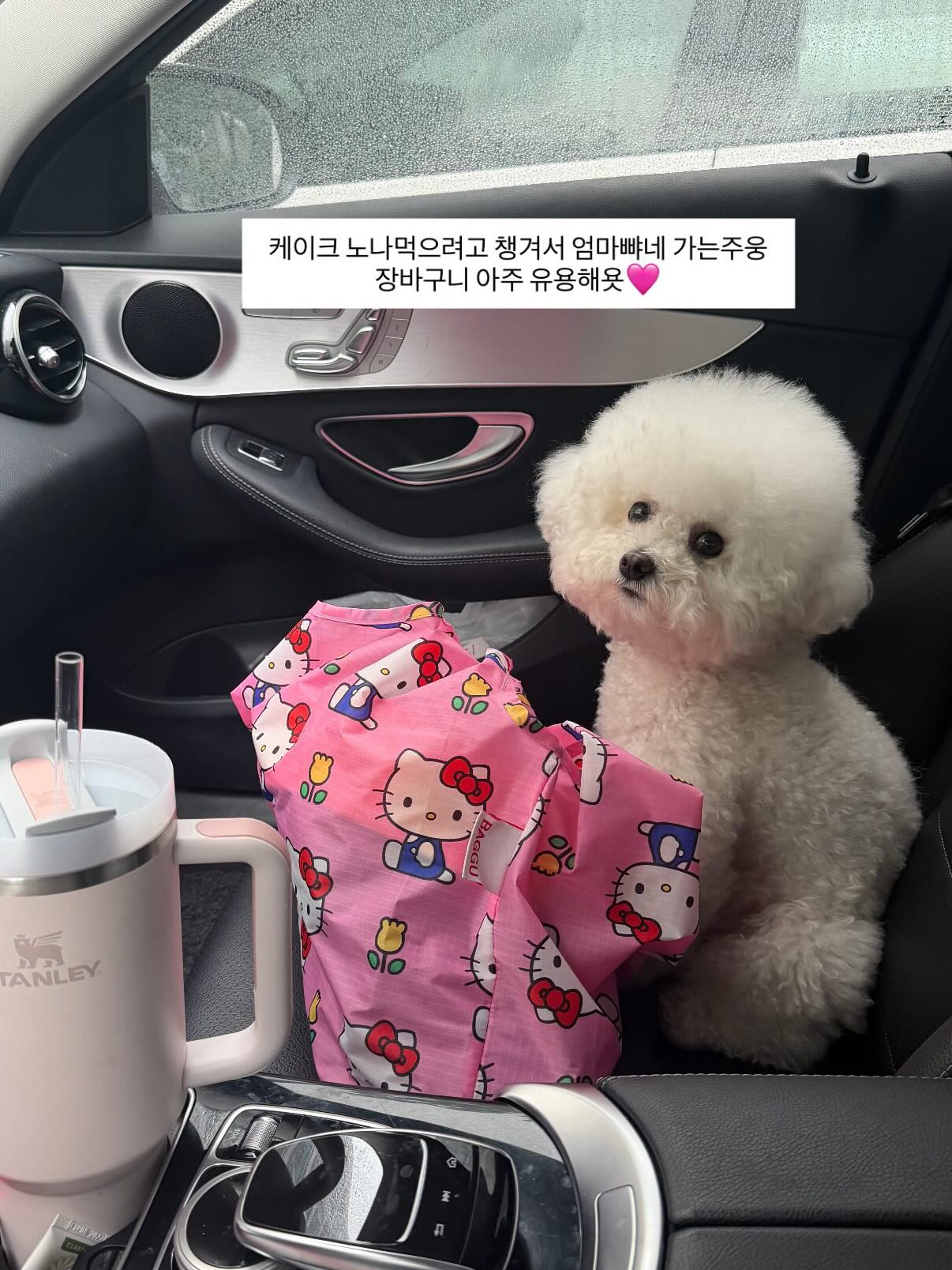 비비드 파스텔 숄더백 3