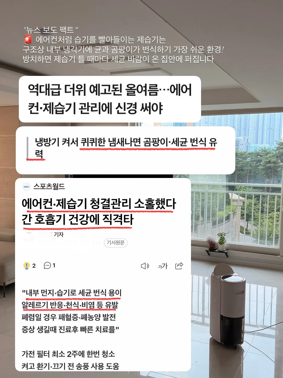 피어 스커트 2