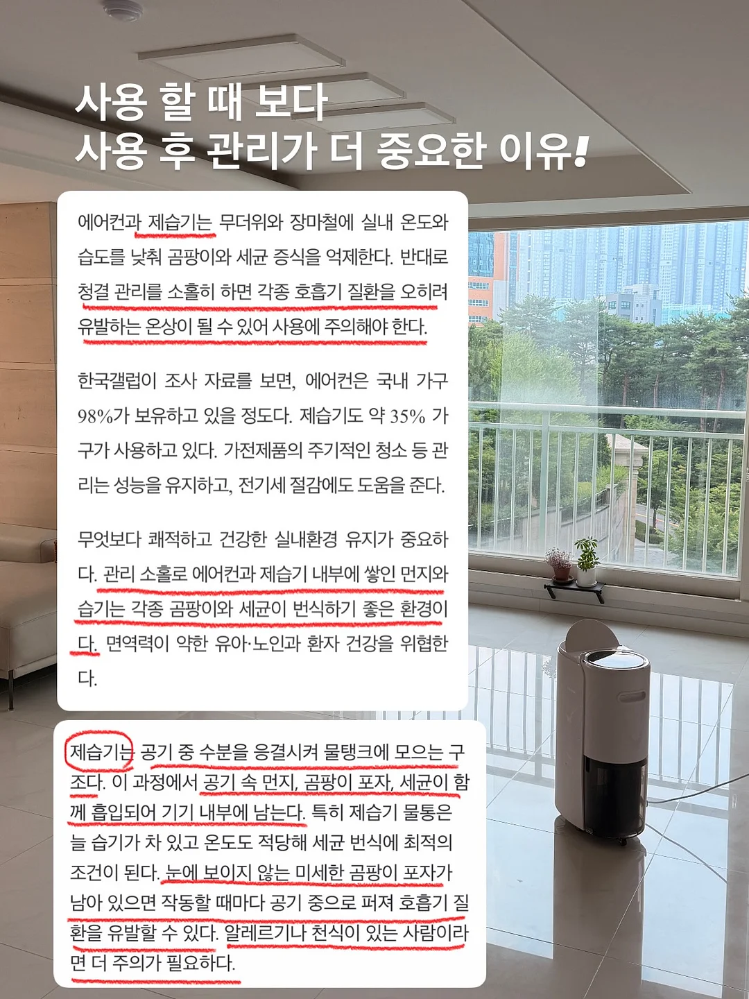 피어 스커트 3