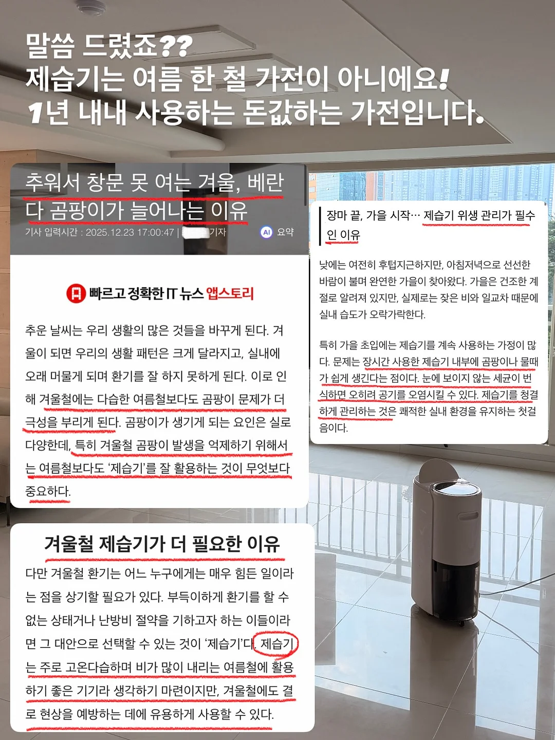 피어 스커트 4