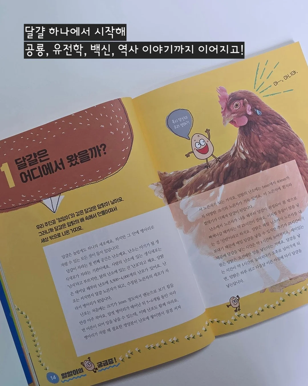 하트 크리스탈 치약 6