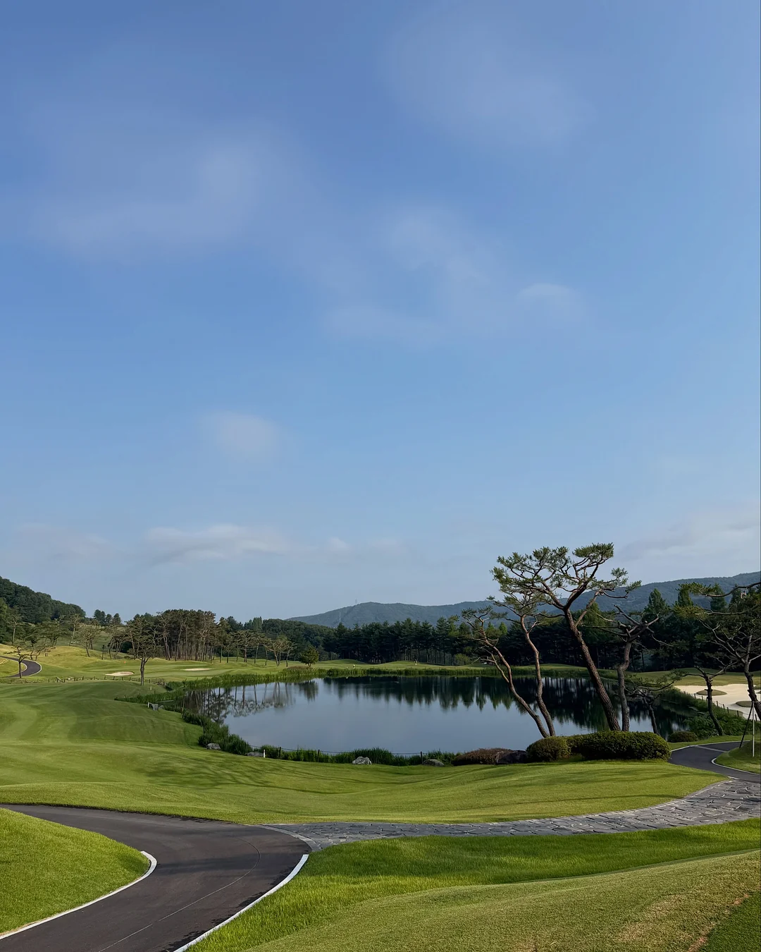 온천수 핸드크림 2