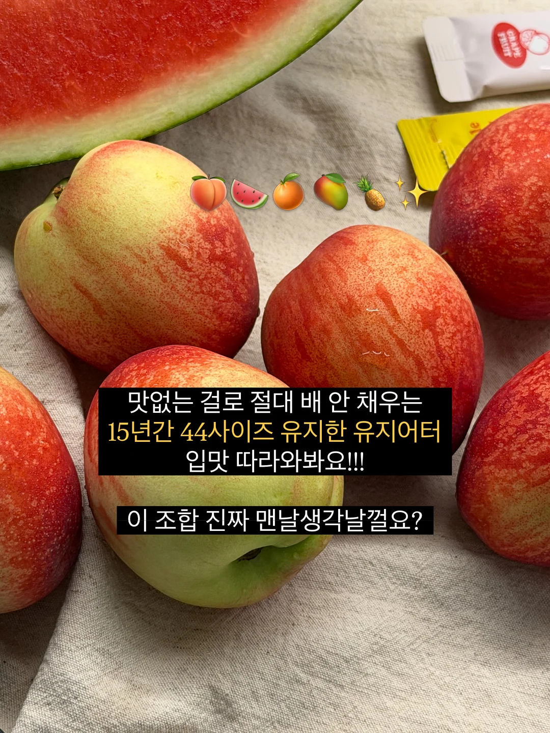 춤추는 오징어 장난감 18