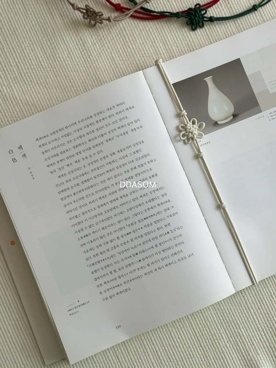 반려견 힙시트 3