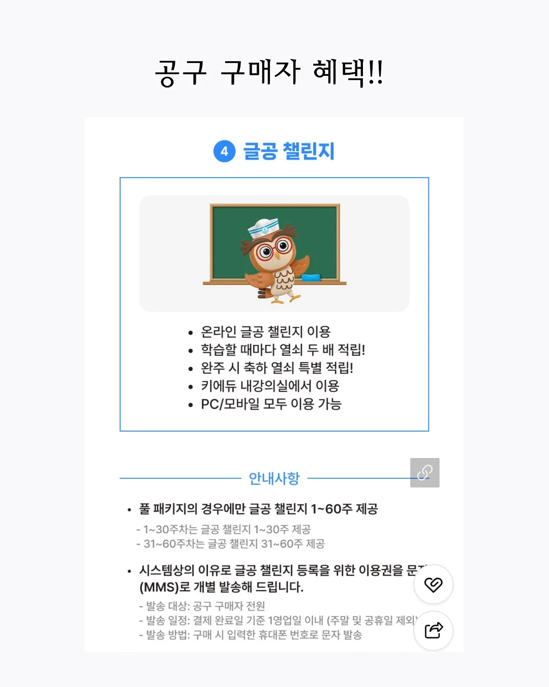 두쫀쿠 14