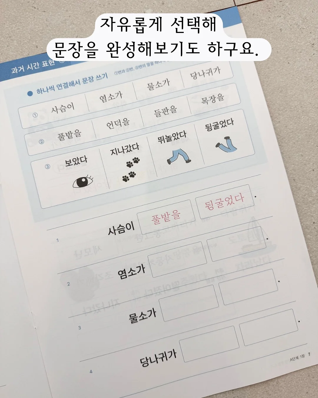 두쫀쿠 8