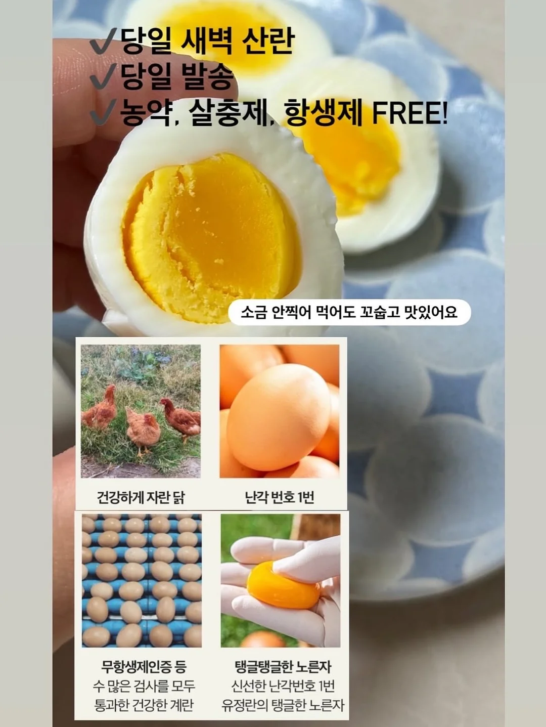 골지 스판 나시 4