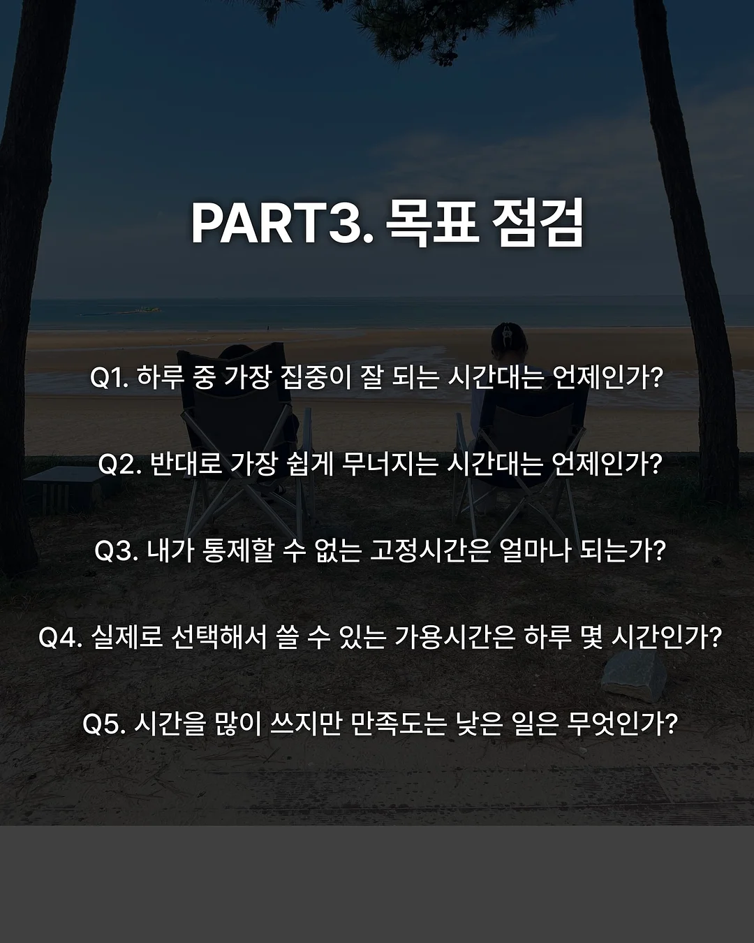 반려견 피트니스 & BAT 행동 수정 트레이닝 4