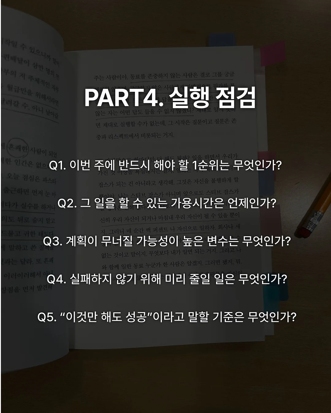 반려견 피트니스 & BAT 행동 수정 트레이닝 5
