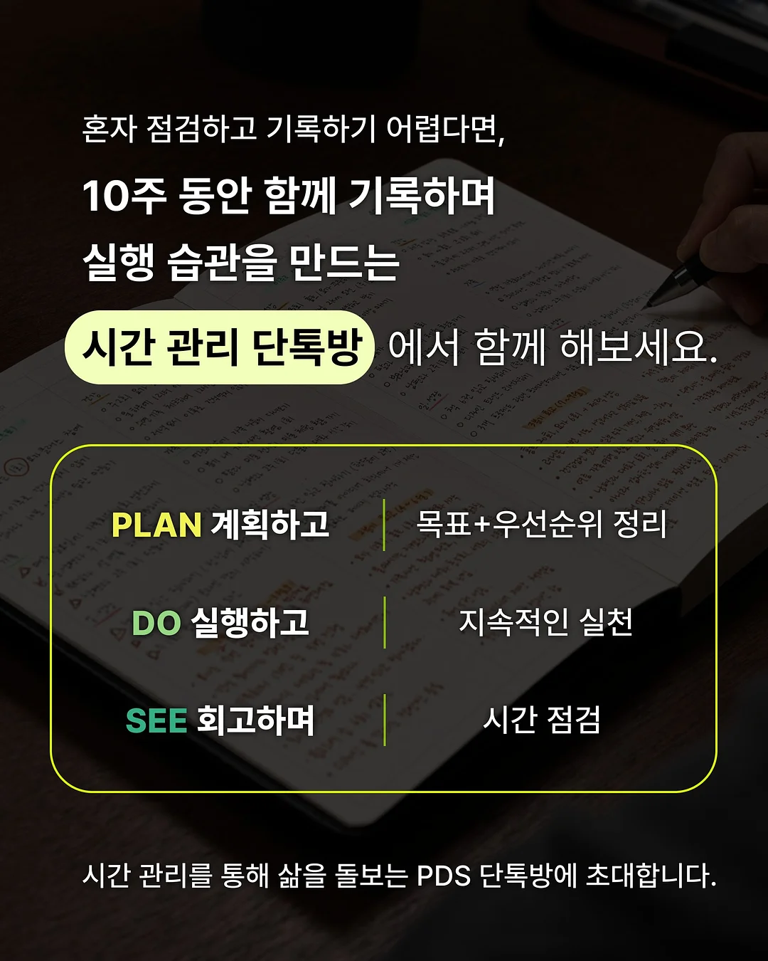 반려견 피트니스 & BAT 행동 수정 트레이닝 6