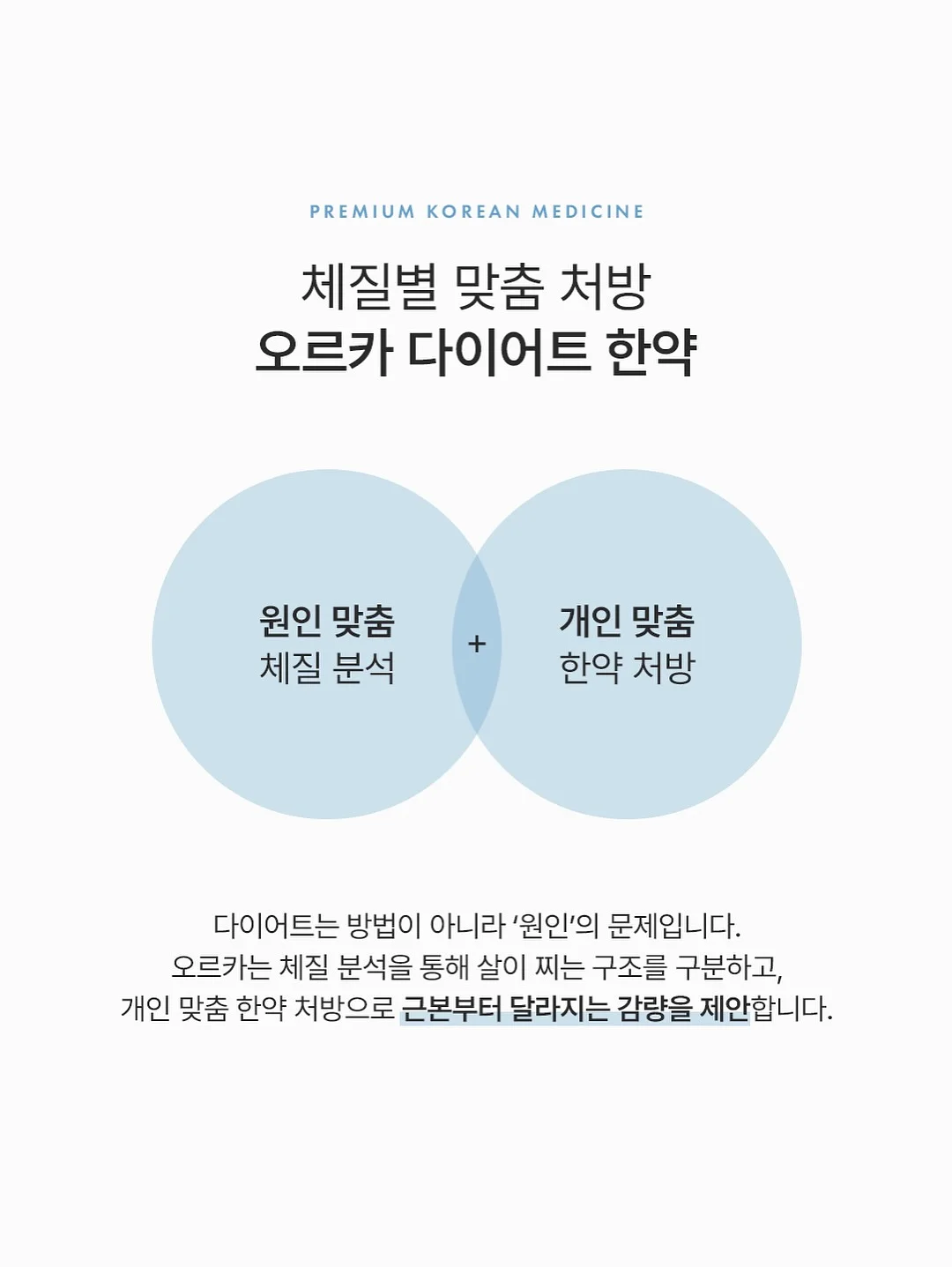 고무브러시 5
