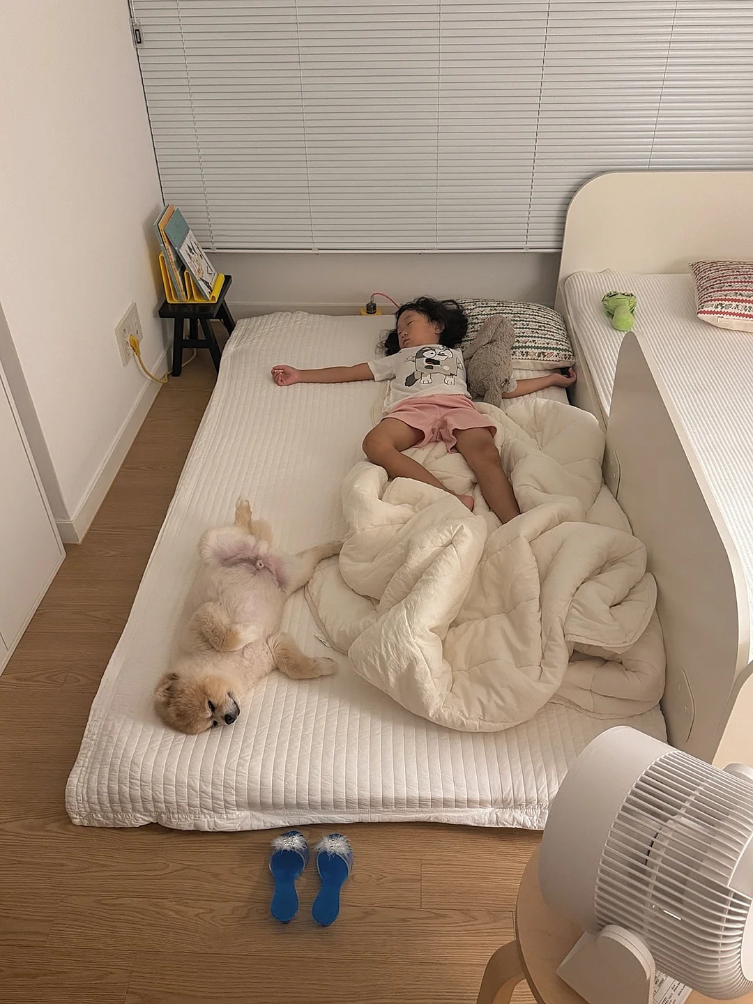 볼륨 헤어브러쉬 10