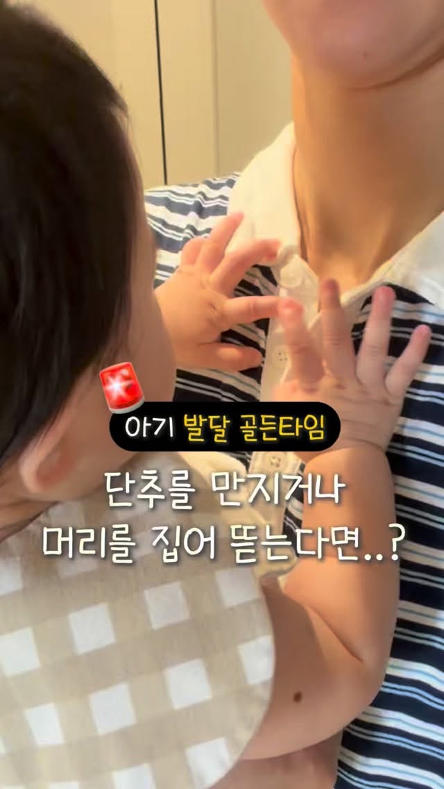 3PCS 비키니 세트