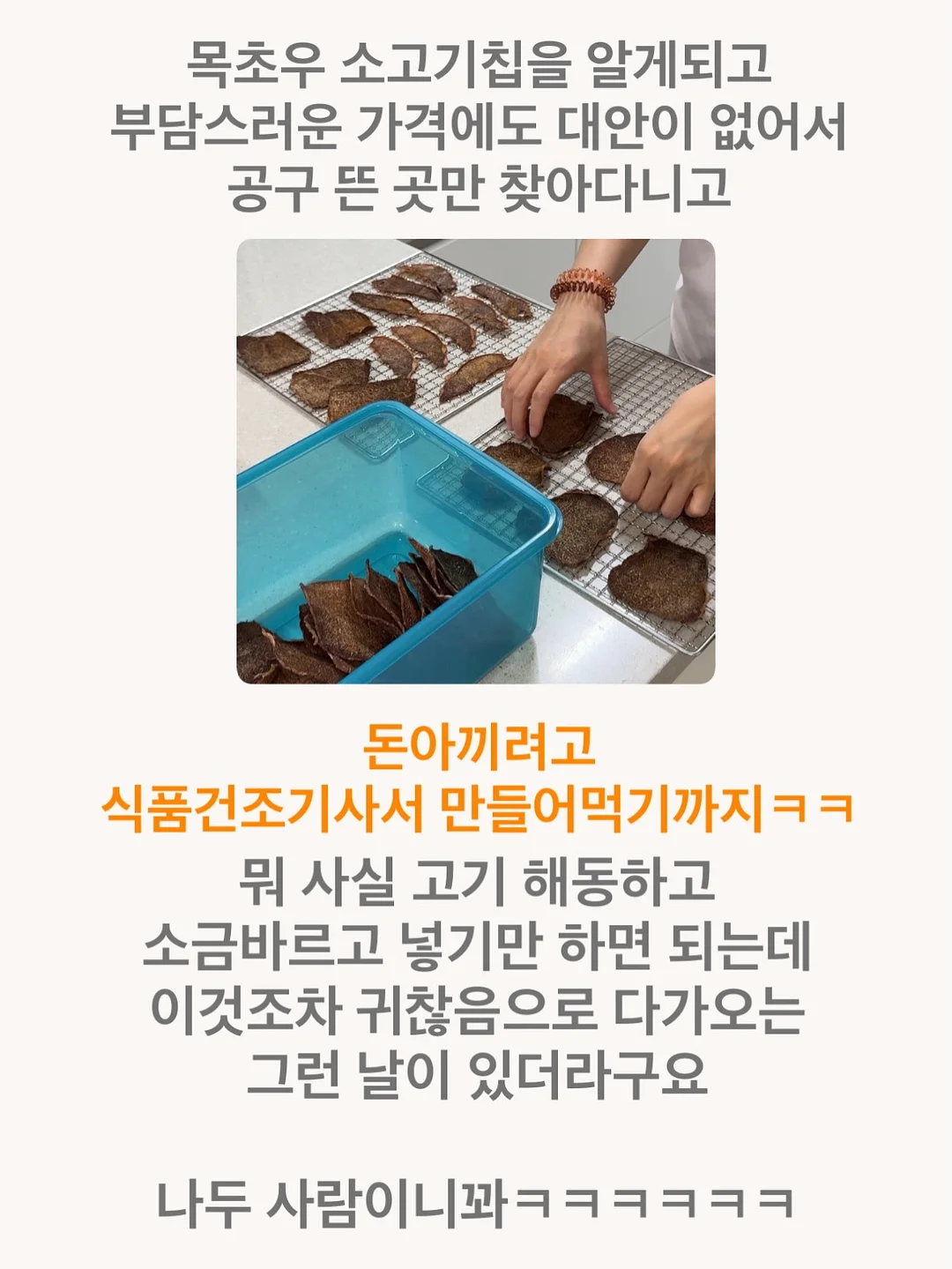 과일선물세트 9
